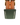 sf_wvbottom_yellowgold