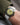 White Sailcloth Signature Strap - Image 4