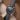 Dark Grey Denim Signature Strap
