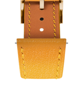 sf_wvbottom_yellowgold
