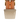 sf_wvbottom_yellowgold