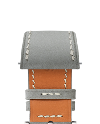 sf_wvtop_silver
