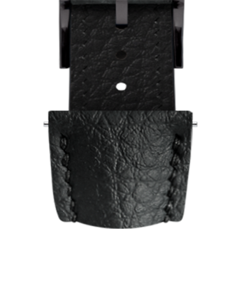 sf_wvbottom_black