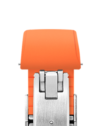 sf_wvtop_silver