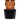 sf_wvbottom_yellowgold